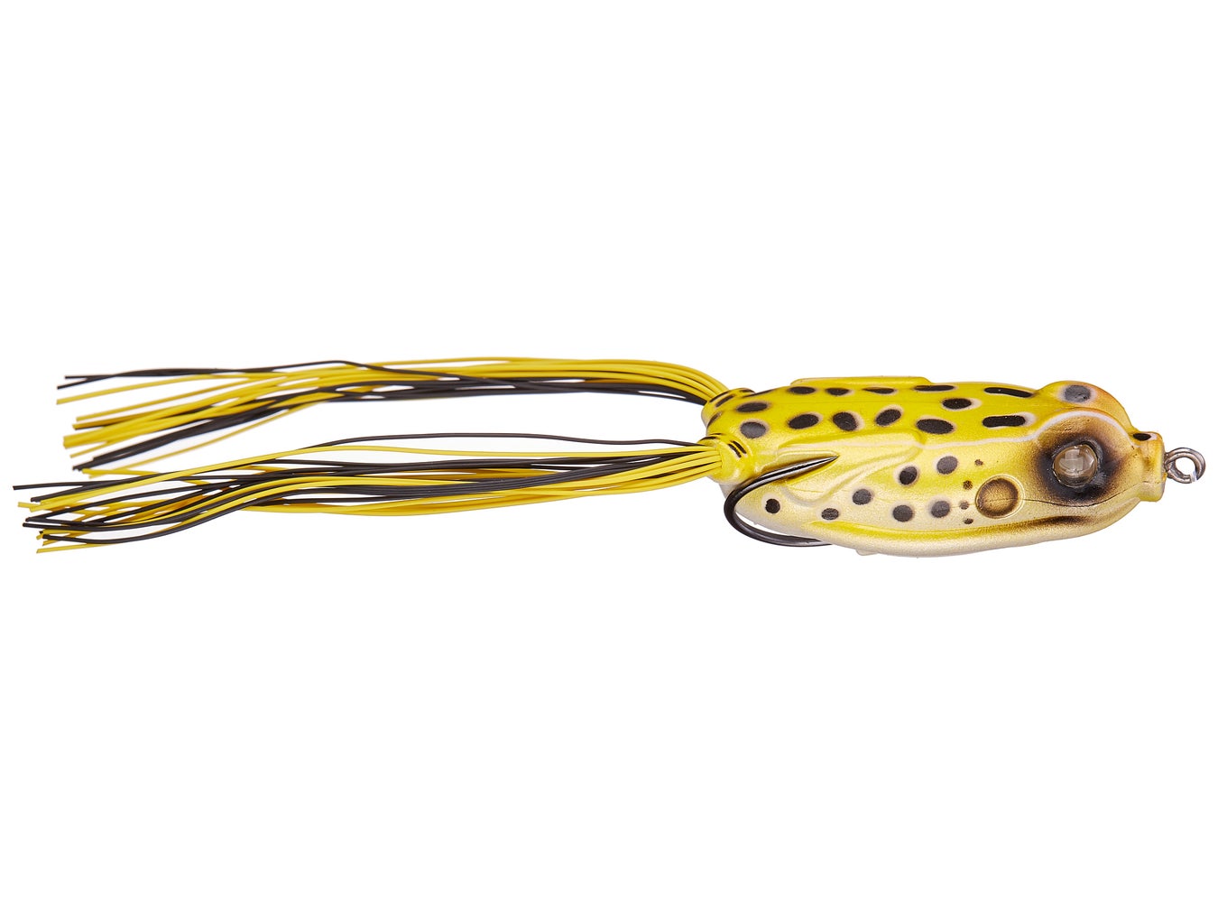 Kalin's Rattlin Google Eye Lily Stalker Frog